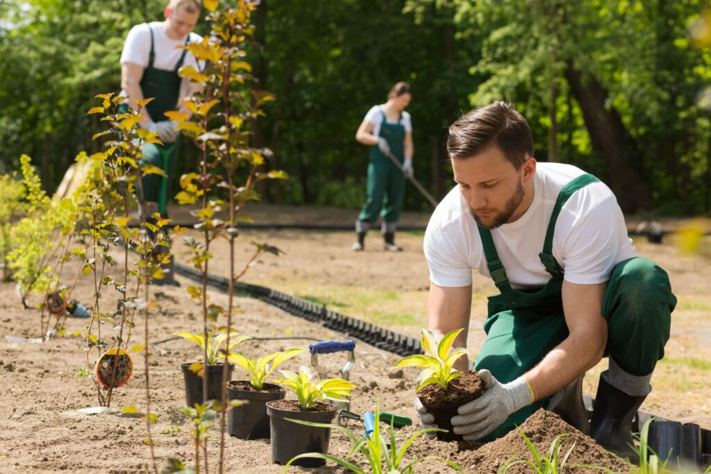 verzekering tuinaanleg -tuinonderhoud