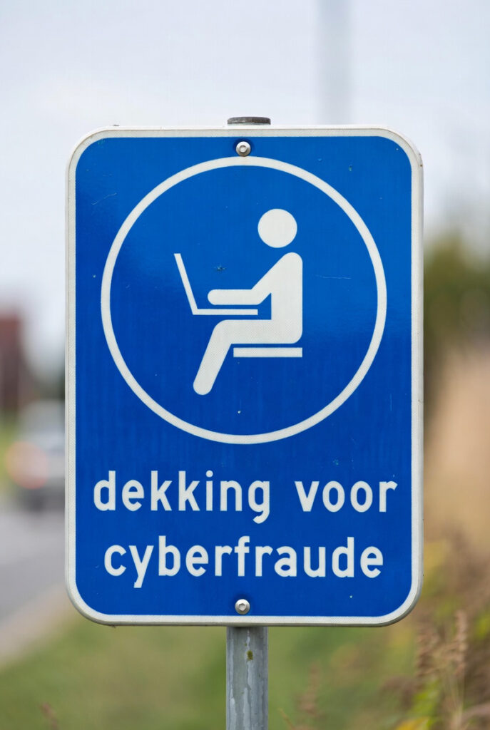 dekking voor cyberfraude